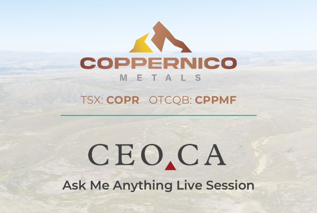 CEO.ca Ask Me Anything Live Session